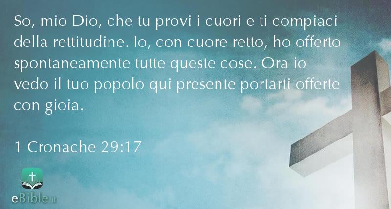 Bibbia 1 Cronache capitolo 29 versetto 17