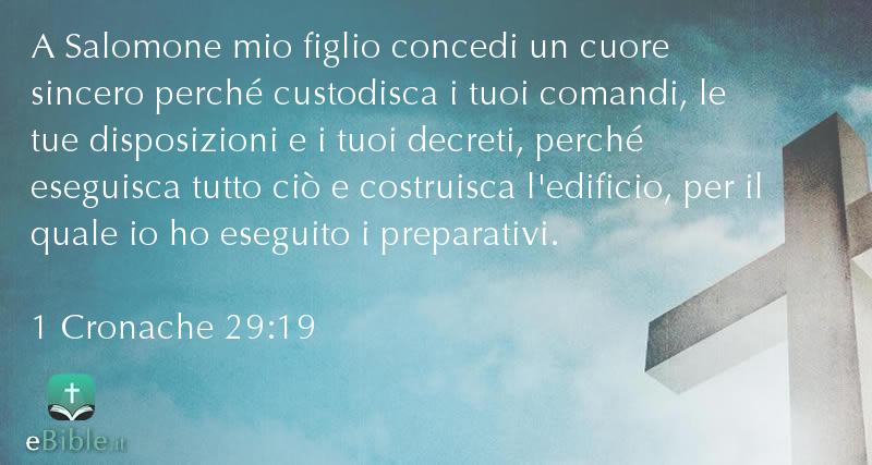 Bibbia 1 Cronache capitolo 29 versetto 19