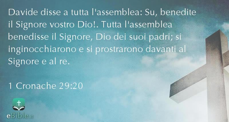 Bibbia 1 Cronache capitolo 29 versetto 20