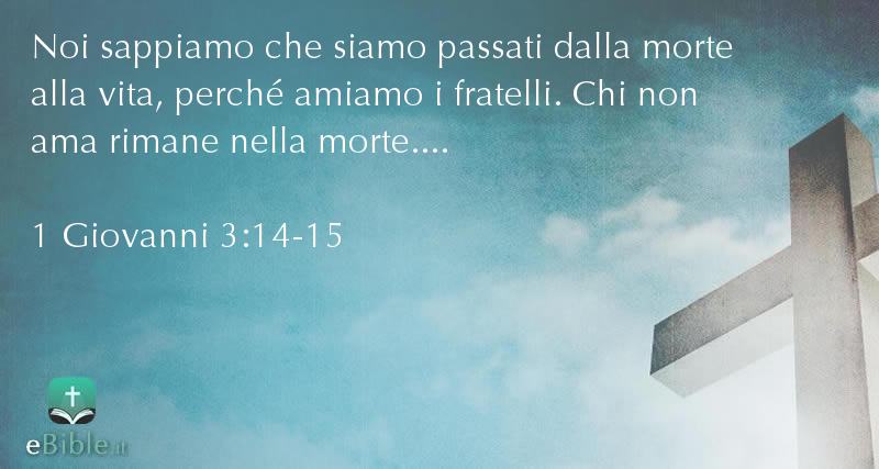 Bibbia 1 Giovanni capitolo 3 versetti 14:15