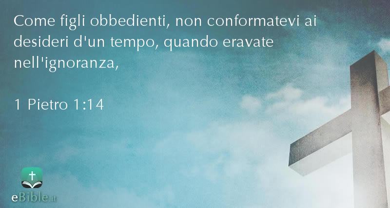 Bibbia 1 Pietro capitolo 1 versetto 14