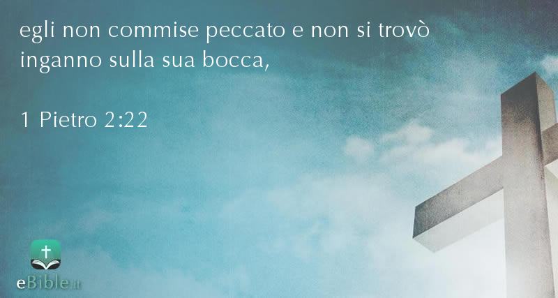 Bibbia 1 Pietro capitolo 2 versetto 22