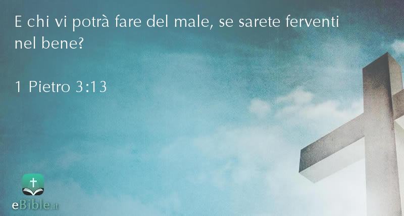 Bibbia 1 Pietro capitolo 3 versetto 13