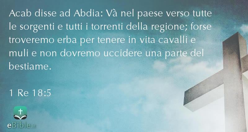 Bibbia 1 Re capitolo 18 versetto 5