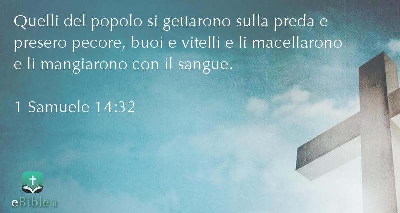 Bibbia 1 Samuele capitolo 14 versetto 32