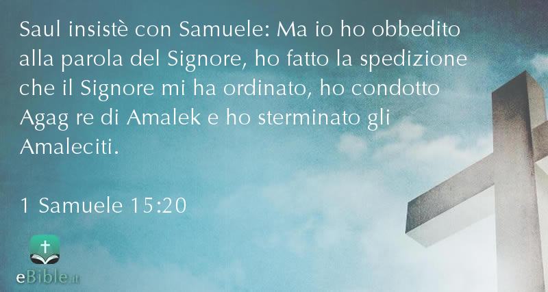 Bibbia 1 Samuele capitolo 15 versetto 20