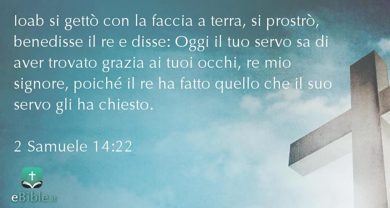 Bibbia 2 Samuele capitolo 14 versetto 22