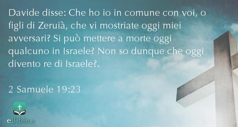 Bibbia 2 Samuele capitolo 19 versetto 23