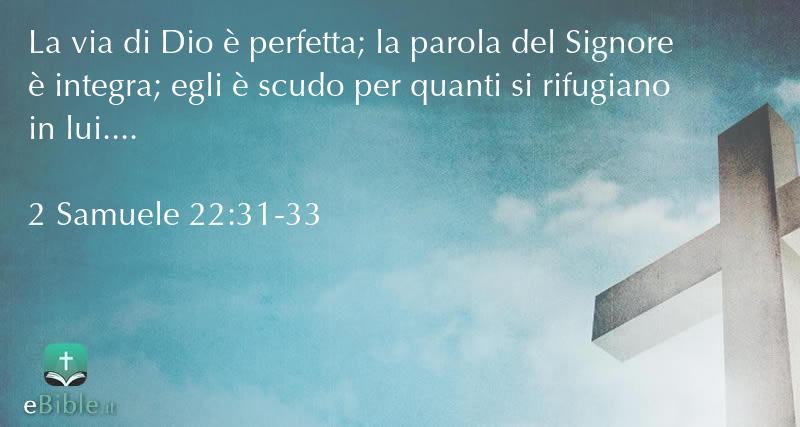 Bibbia 2 Samuele capitolo 22 versetti 31:33