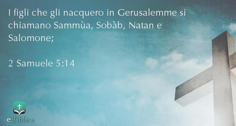 Bibbia 2 Samuele capitolo 5 versetto 14