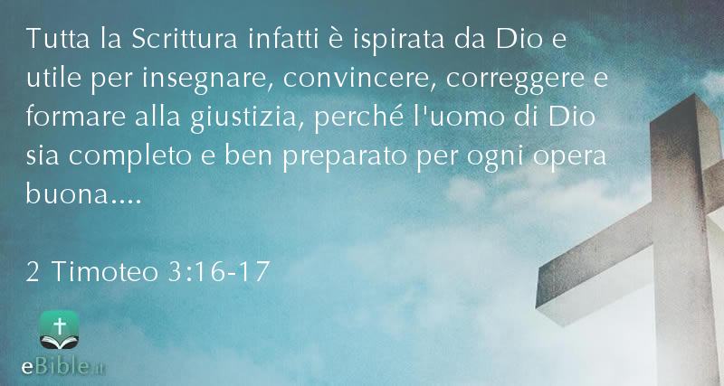 Bibbia 2 Timoteo capitolo 3 versetti 16:17