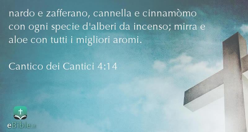 Bibbia Cantico dei Cantici capitolo 4 versetto 14