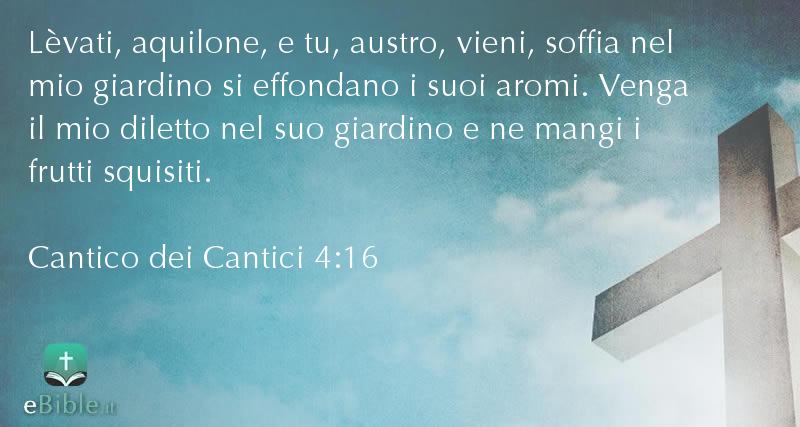 Bibbia Cantico dei Cantici capitolo 4 versetto 16