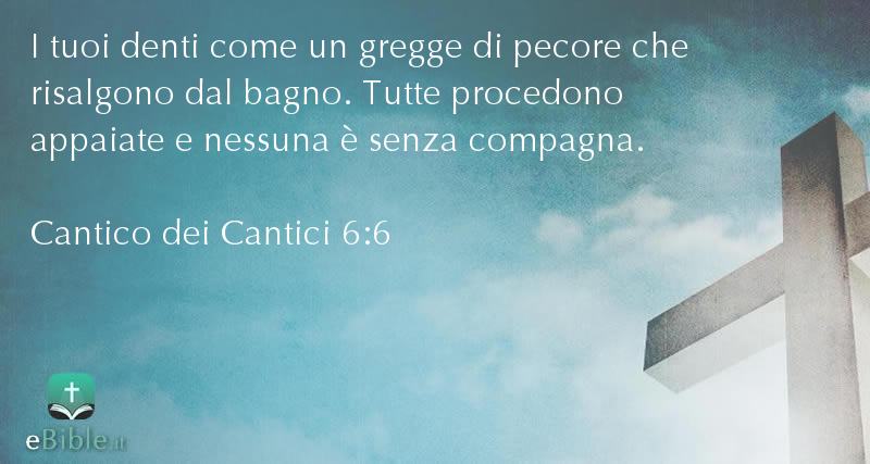 Bibbia Cantico dei Cantici capitolo 6 versetto 6