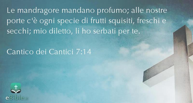 Bibbia Cantico dei Cantici capitolo 7 versetto 14