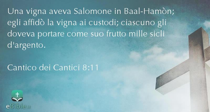 Bibbia Cantico dei Cantici capitolo 8 versetto 11