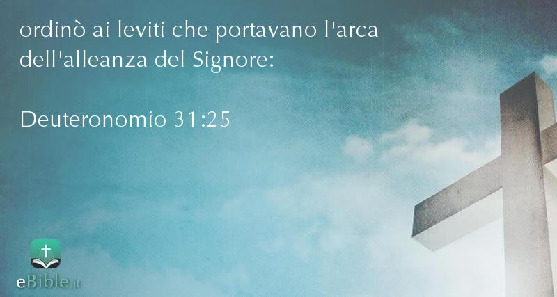 Bibbia Deuteronomio capitolo 31 versetto 25