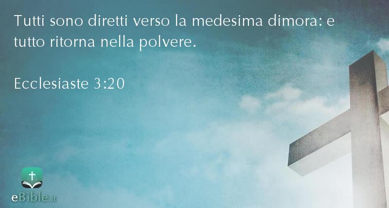 Bibbia Ecclesiaste capitolo 3 versetto 20