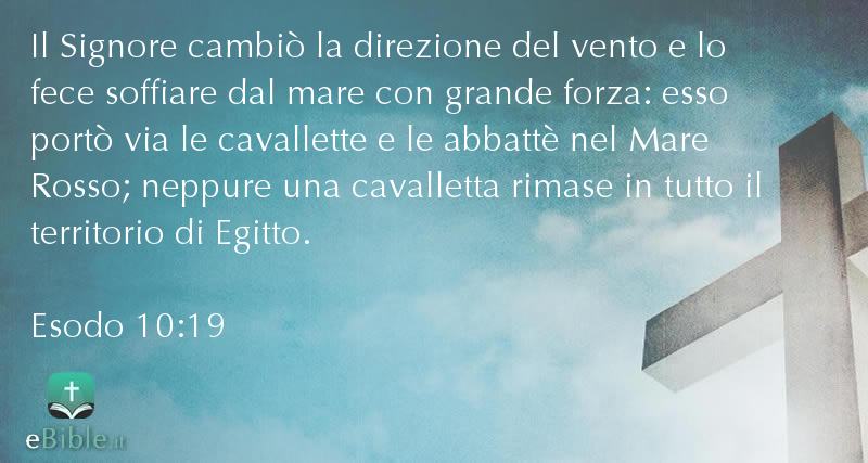 Bibbia Esodo capitolo 10 versetto 19