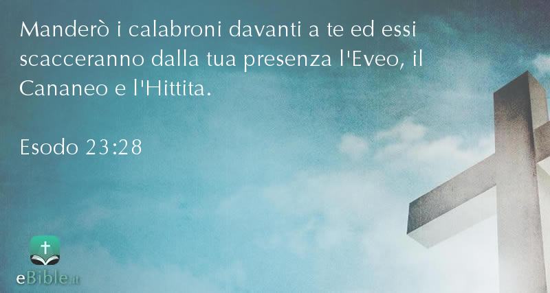 Bibbia Esodo capitolo 23 versetto 28