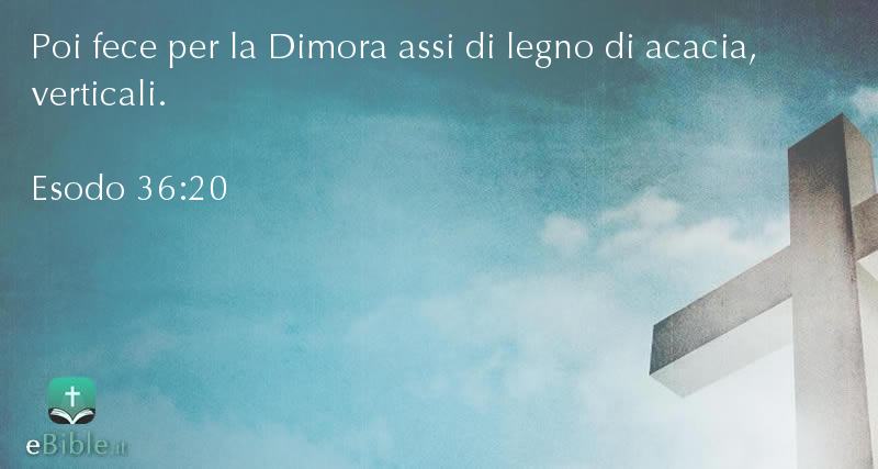 Bibbia Esodo capitolo 36 versetto 20