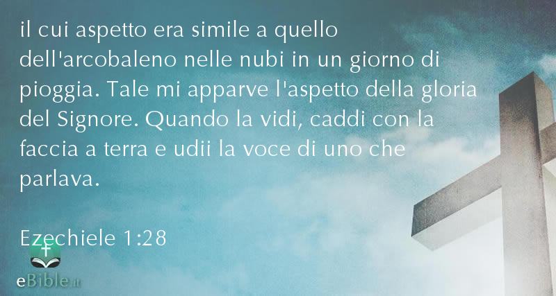 Bibbia Ezechiele capitolo 1 versetto 28