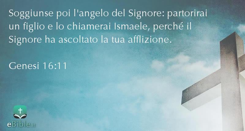 Bibbia Genesi capitolo 16 versetto 11
