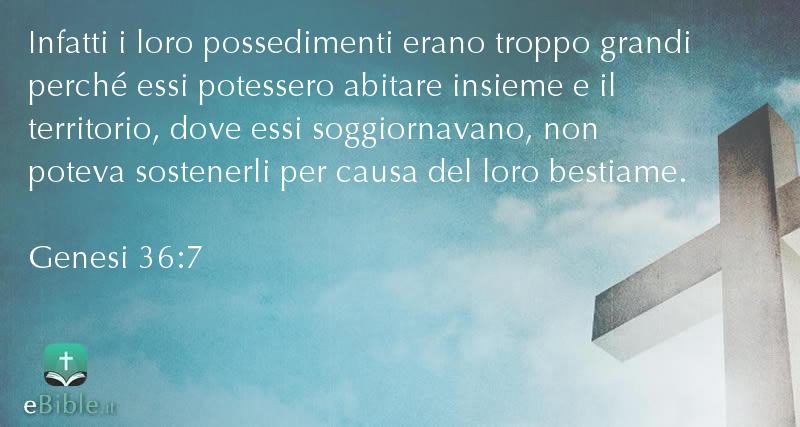 Bibbia Genesi capitolo 36 versetto 7