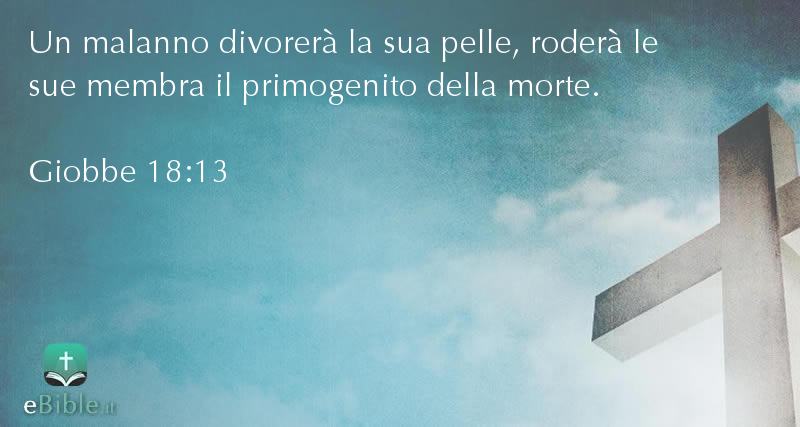 Bibbia Giobbe capitolo 18 versetto 13