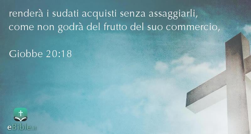 Bibbia Giobbe capitolo 20 versetto 18