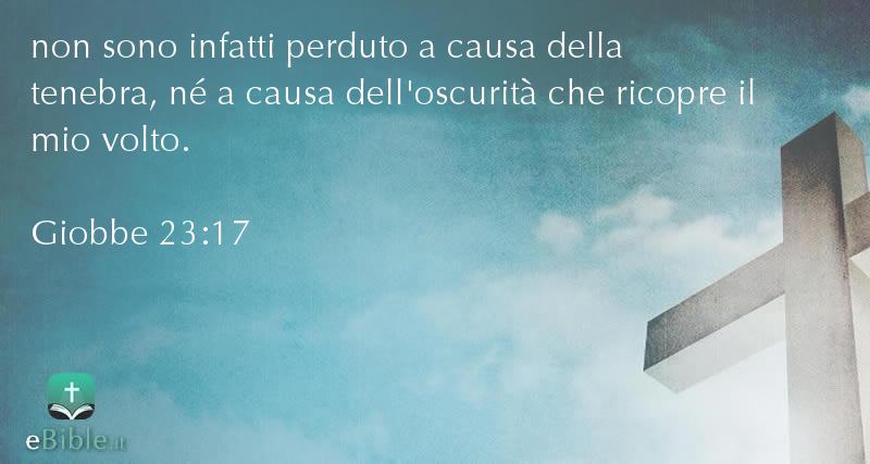 Bibbia Giobbe capitolo 23 versetto 17