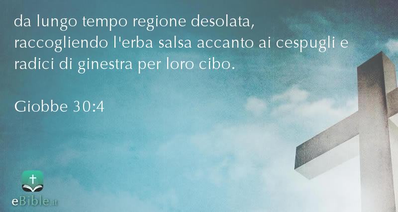 Bibbia Giobbe capitolo 30 versetto 4