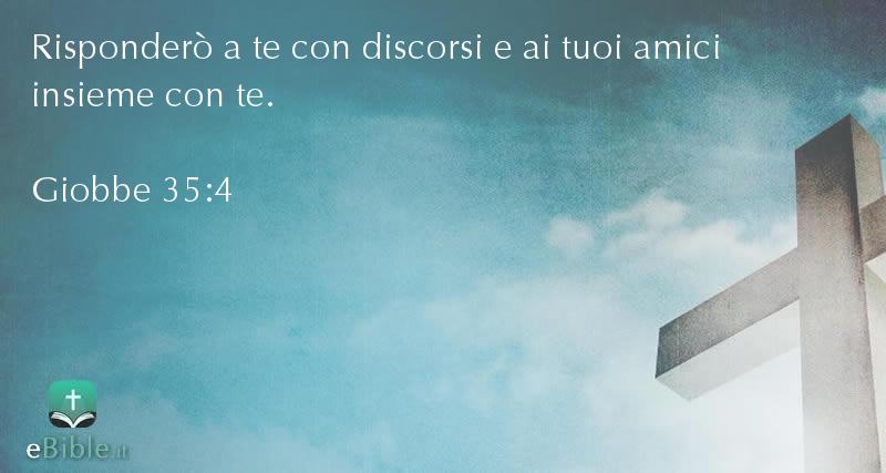 Bibbia Giobbe capitolo 35 versetto 4