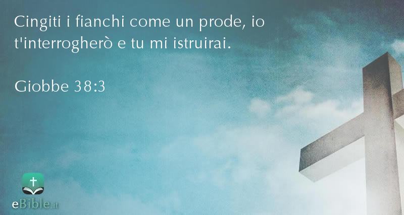Bibbia Giobbe capitolo 38 versetto 3