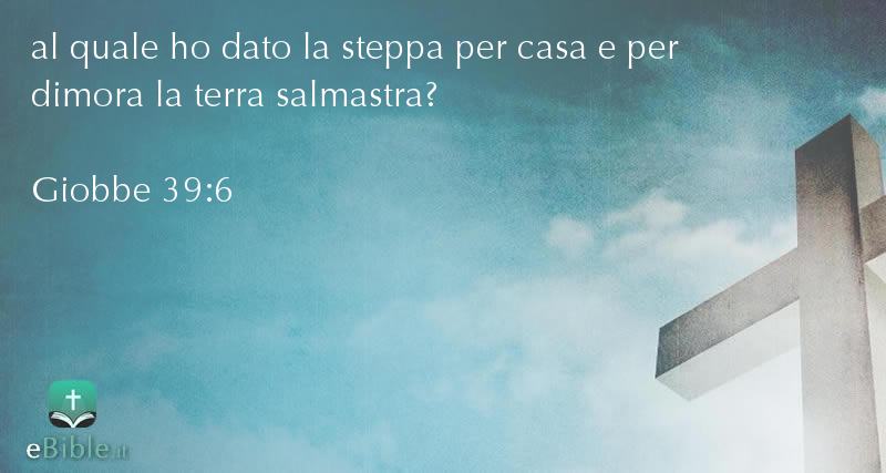 Bibbia Giobbe capitolo 39 versetto 6