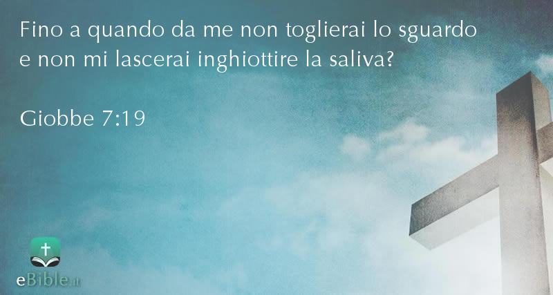 Bibbia Giobbe capitolo 7 versetto 19
