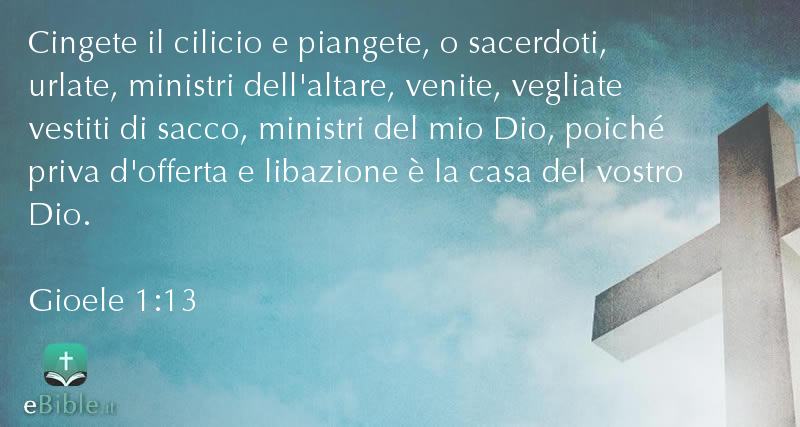 Bibbia Gioele capitolo 1 versetto 13
