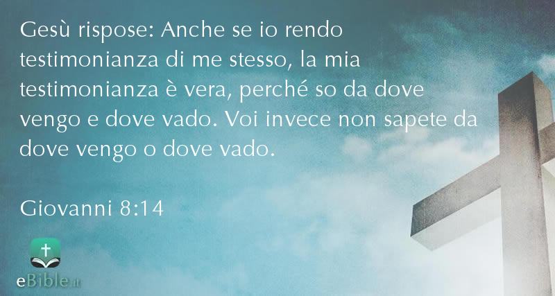 Bibbia Giovanni capitolo 8 versetto 14