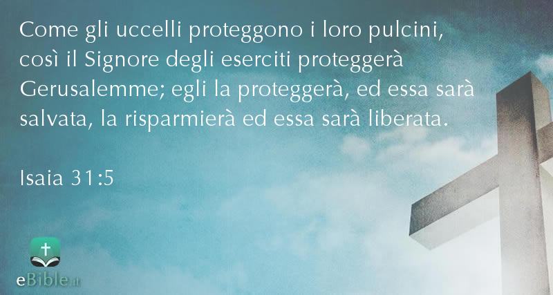 Bibbia Isaia capitolo 31 versetto 5