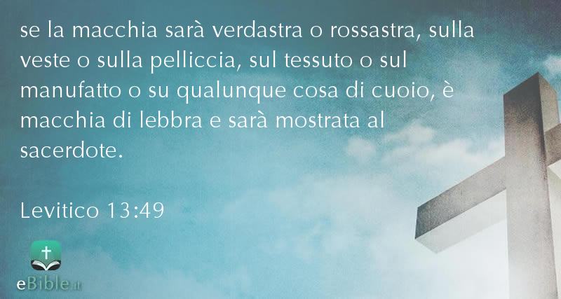 Bibbia Levitico capitolo 13 versetto 49