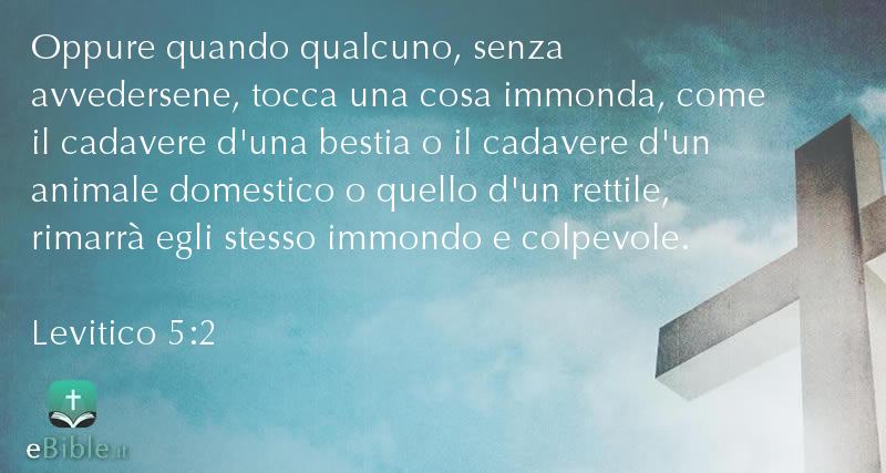 Bibbia Levitico capitolo 5 versetto 2