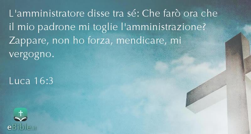 Bibbia Luca capitolo 16 versetto 3