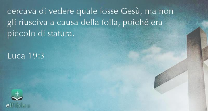 Bibbia Luca capitolo 19 versetto 3