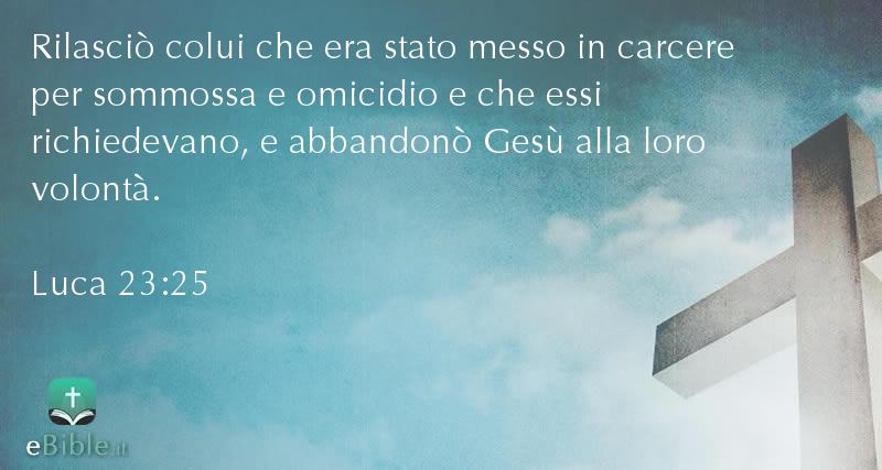 Bibbia Luca capitolo 23 versetto 25