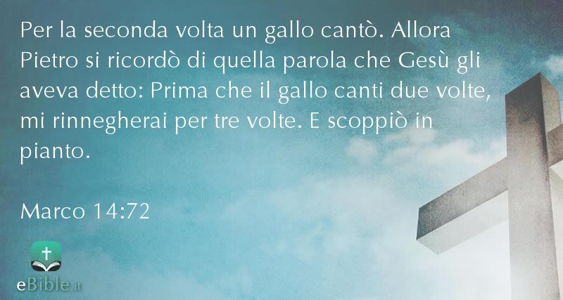 Bibbia Marco capitolo 14 versetto 72