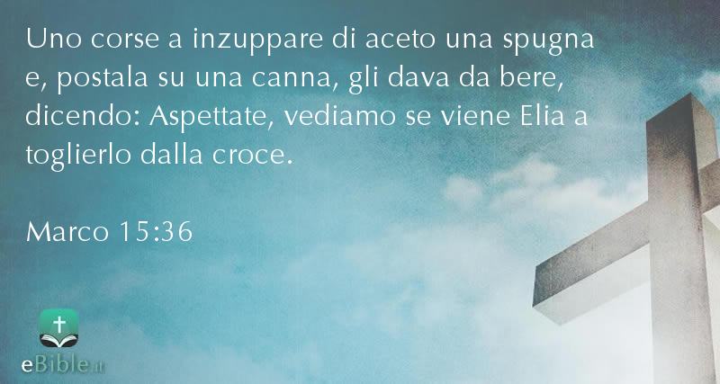 Bibbia Marco capitolo 15 versetto 36