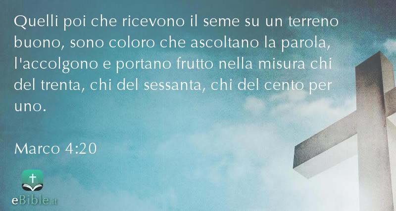 Bibbia Marco capitolo 4 versetto 20