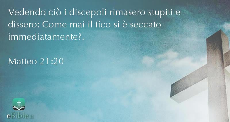 Bibbia Matteo capitolo 21 versetto 20