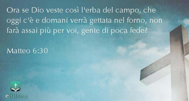 Bibbia Matteo capitolo 6 versetto 30
