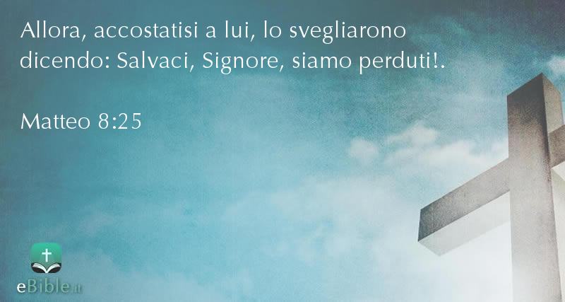 Bibbia Matteo capitolo 8 versetto 25